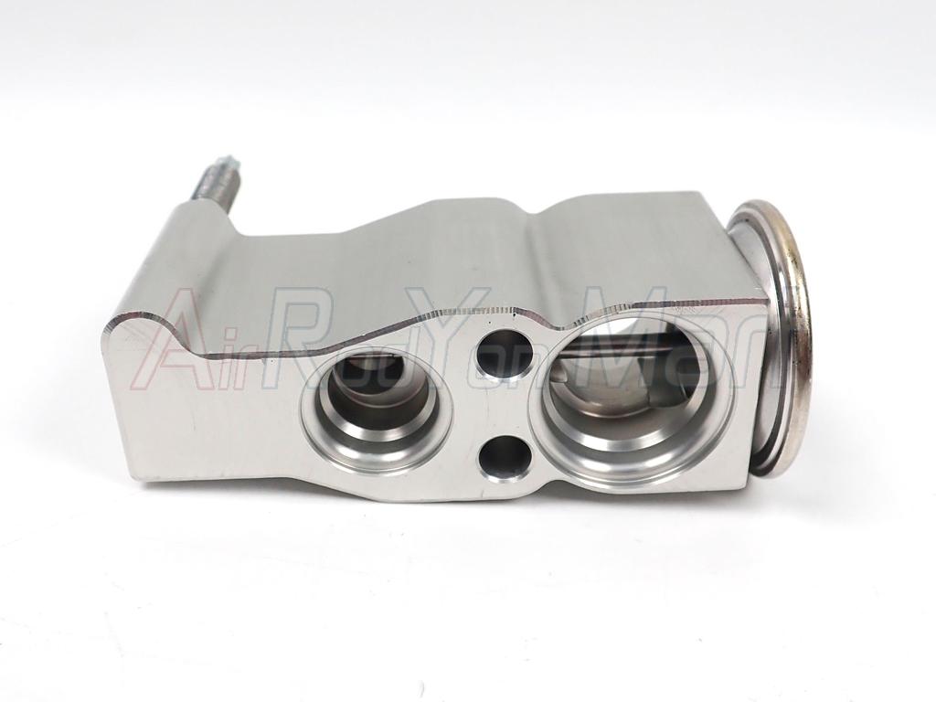 วาล์วแอร์ Citroen C3/DS3 รูใหญ่ (524131)